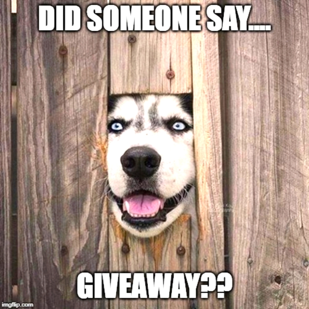 FREE GIVEAWAY FLYER LIKE TO BE NOTIFIED WHEN WE'LL BE GIVING AWAY FREEBI…